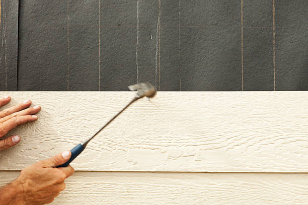 Best Insulated Siding Installation  in Mosheim, TN